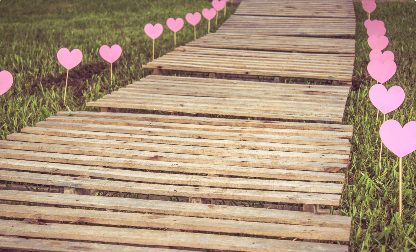 Choose your Love Reading